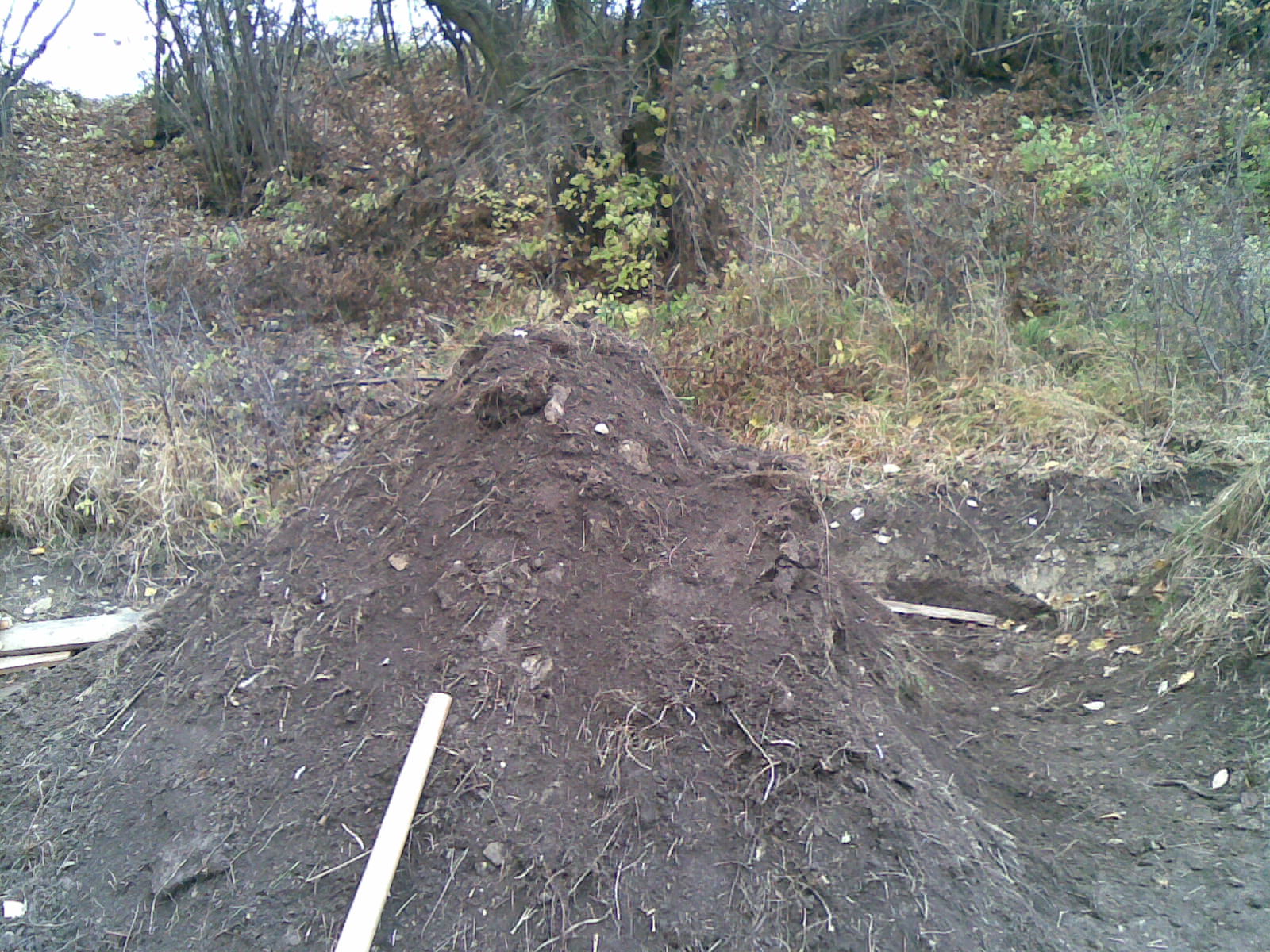 30102008(004).jpg