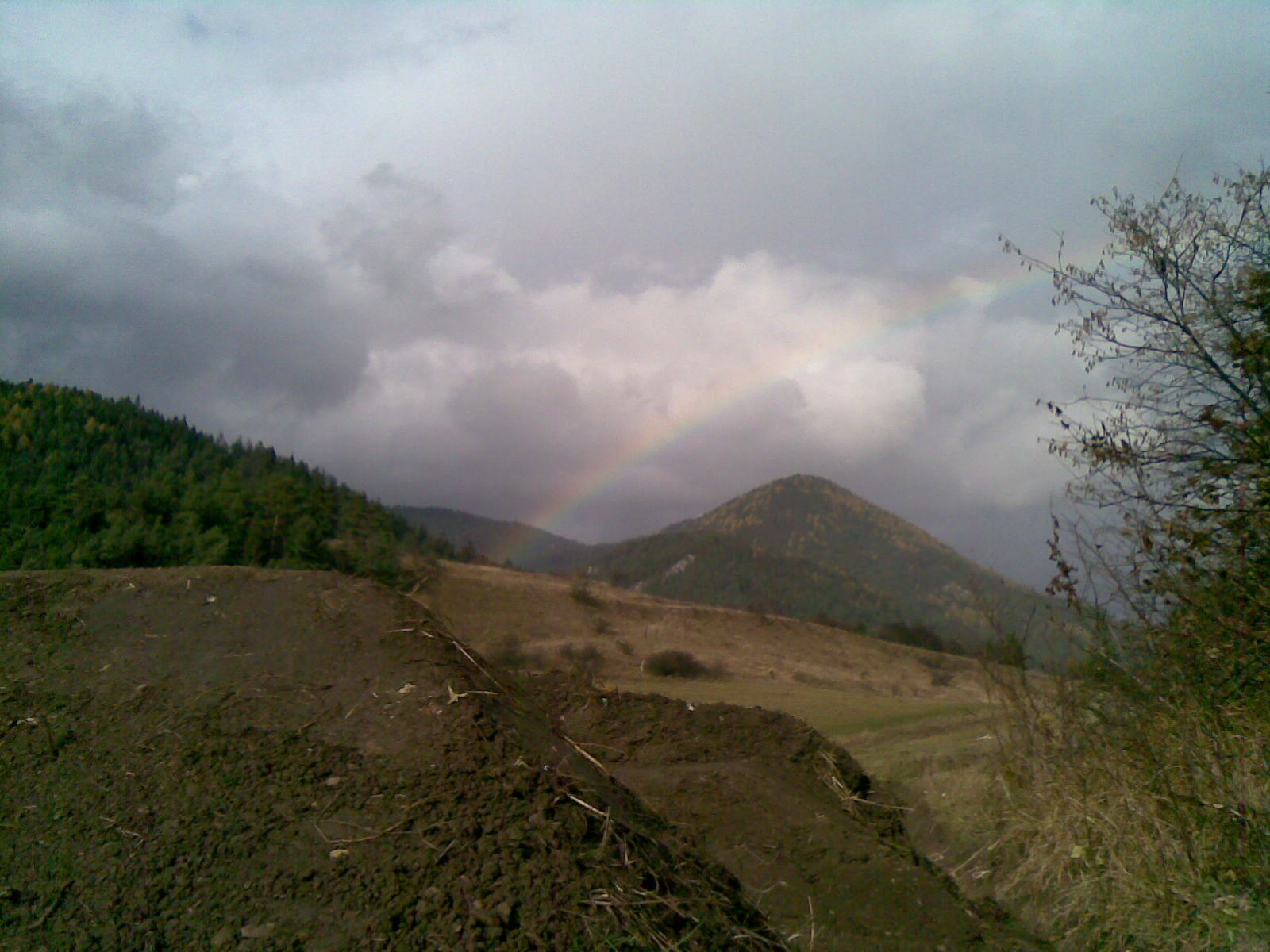 30102008(012).jpg