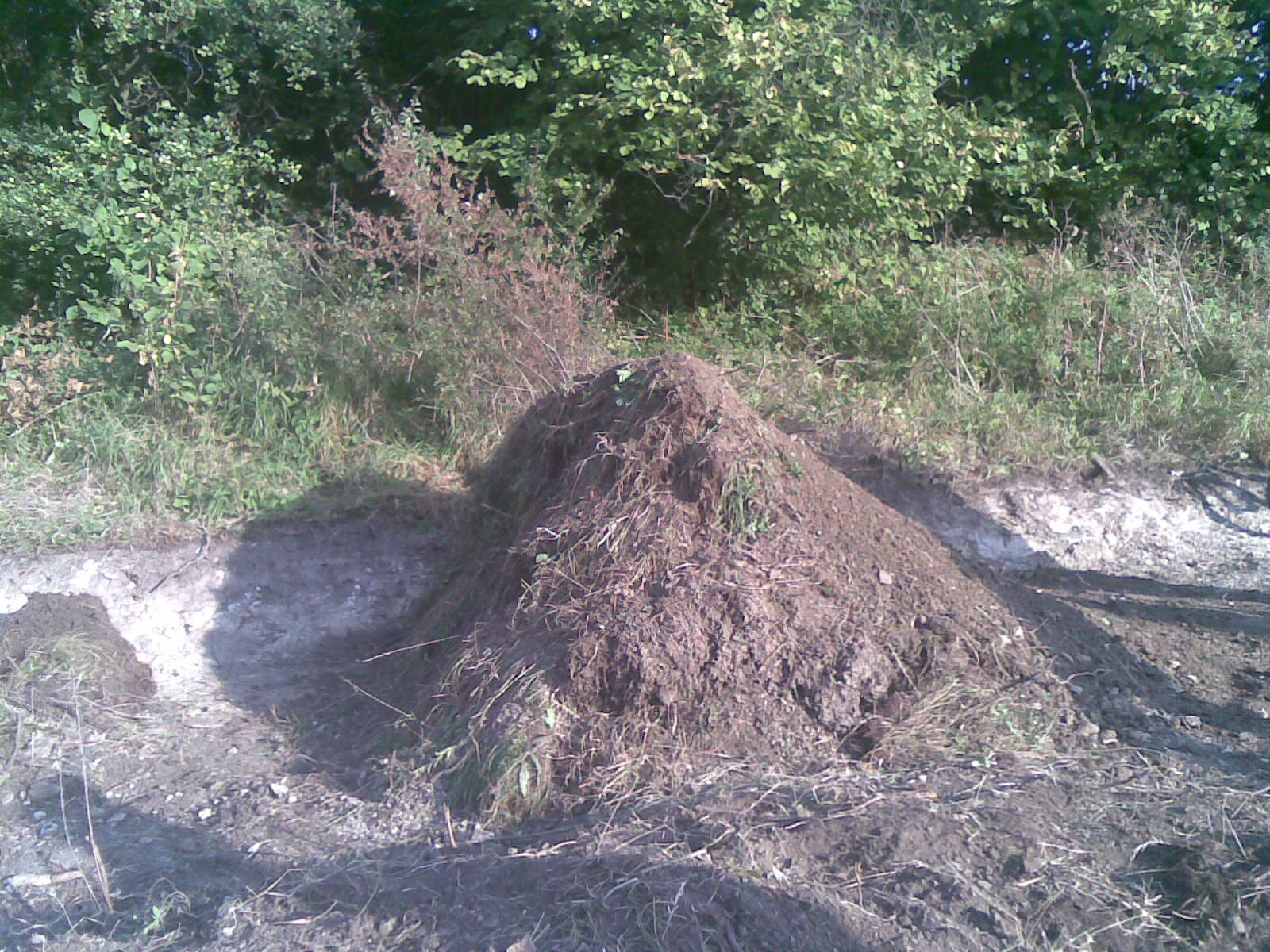 11092008(003).jpg