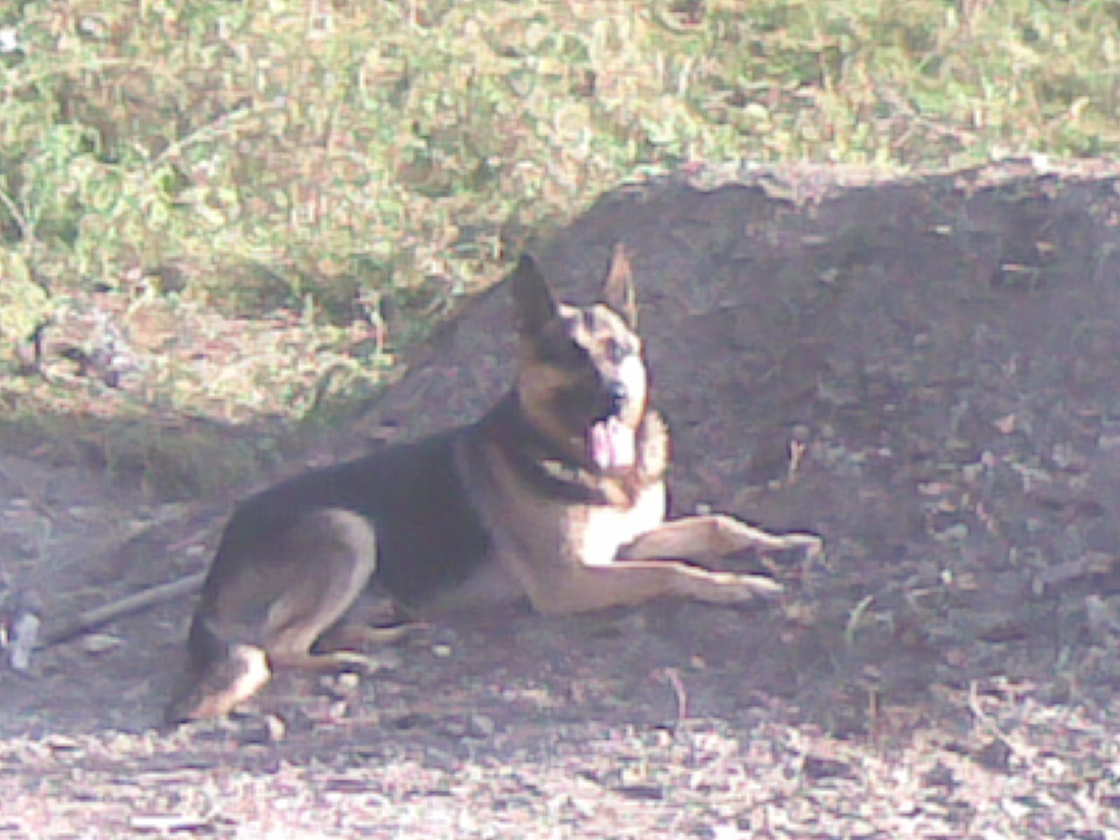 11092008(004).jpg